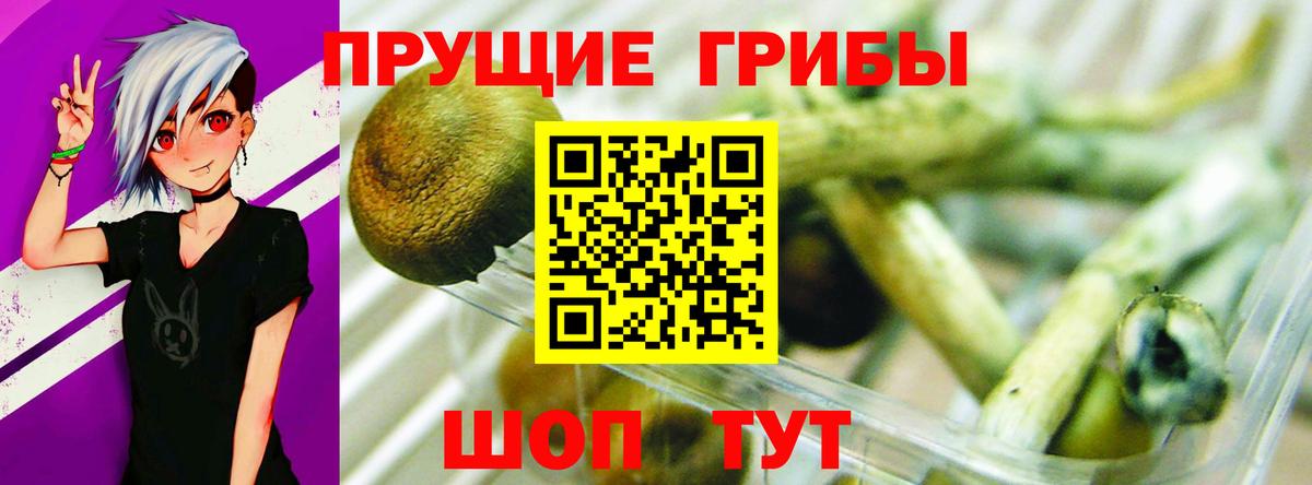 Псилоцибиновые грибы Magic Shrooms Фрязино